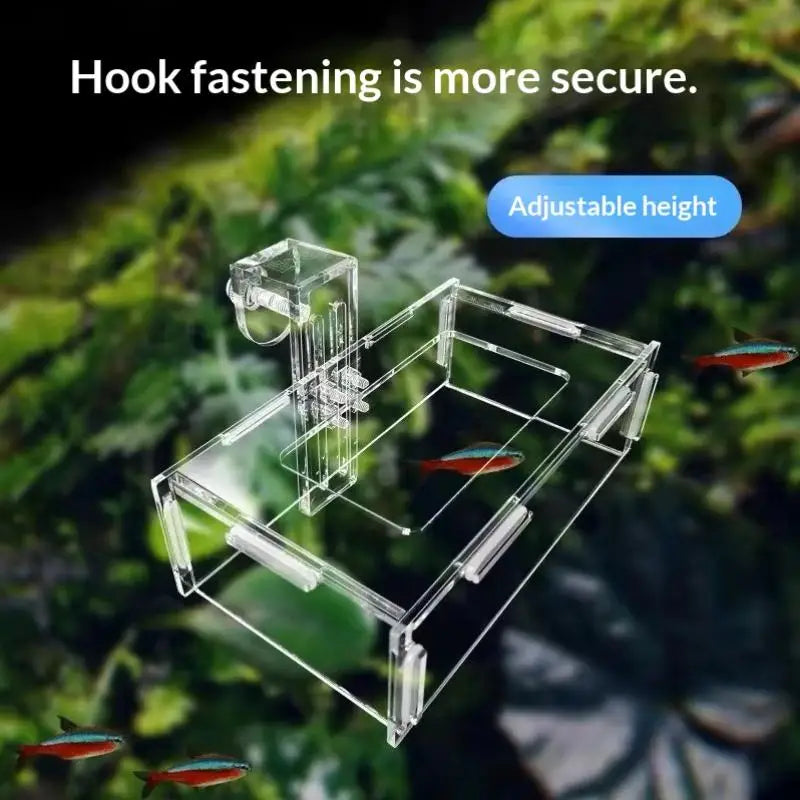 Acrylic Fixed-Point Fish Feeder – Anti-Drift Aquarium Hanging Aquarium Fish Feeder Qme