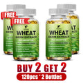 Wheat Germ Extract Capsules with Zinc – Healthy Aging & Energy Nutritional Supplement Qst 4 bottles-120pcs