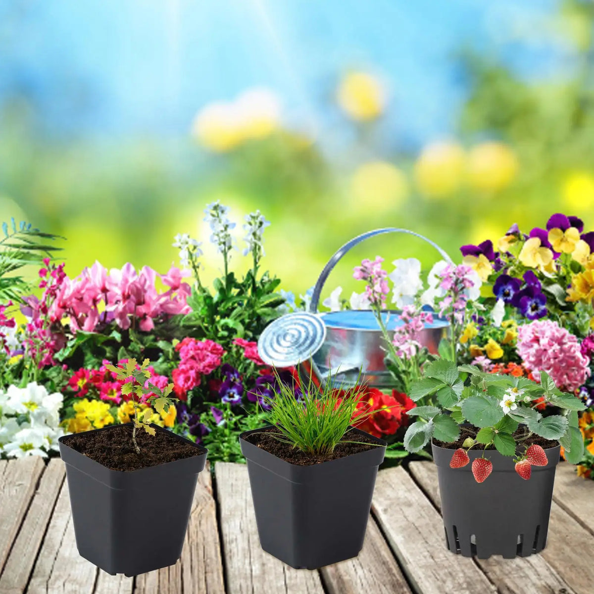 Black Square Seedling Nursery Starter Pots – Reusable Plastic Seedling Nursery Pots Qme