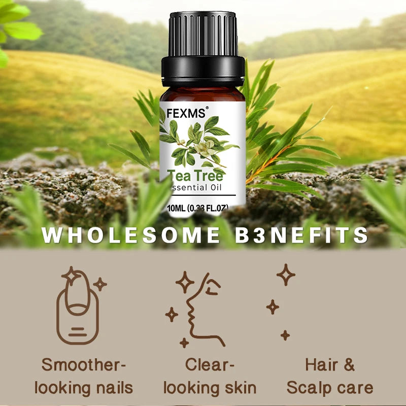 Tea Tree Essential Oil – 100% Pure Natural Aromatherapy Oil Essential Oil Qst