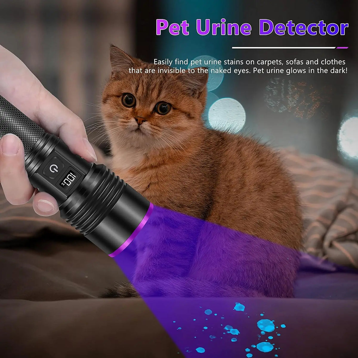 365nm UV Blacklight Flashlight – USB-C Rechargeable, LCD Display UV Blacklight Flashlight Qst