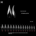 Curved Stiletto Nail Dual Forms 3D Cat's Claw Extension Tips 140pc Nail Extension Forms Qme M