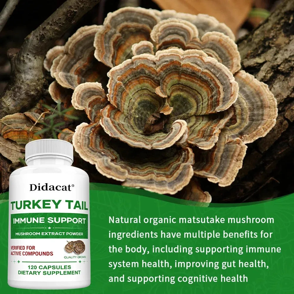 Turkey Tail Mushroom Supplement – Vegan, Non-GMO, 120 Caps Mushroom Supplement Qst