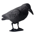 Realistic Crow Decoy Bird Deterrent – Weatherproof Garden Prop Bird Deterrent Decoy Qme A