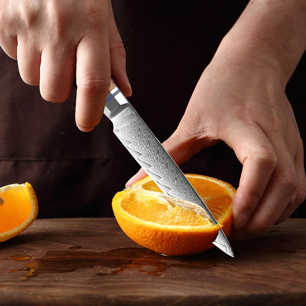XITUO 5-Inch Damascus Steel Petty Knife – 67-Layer VG10 Damascus Kitchen Knife Qst