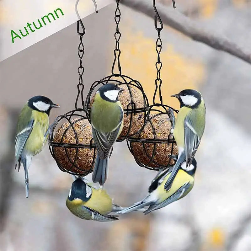 Squirrel Proof Hanging Bird Feeder with Chain – Fat Ball Hanging Bird Feeder Qme