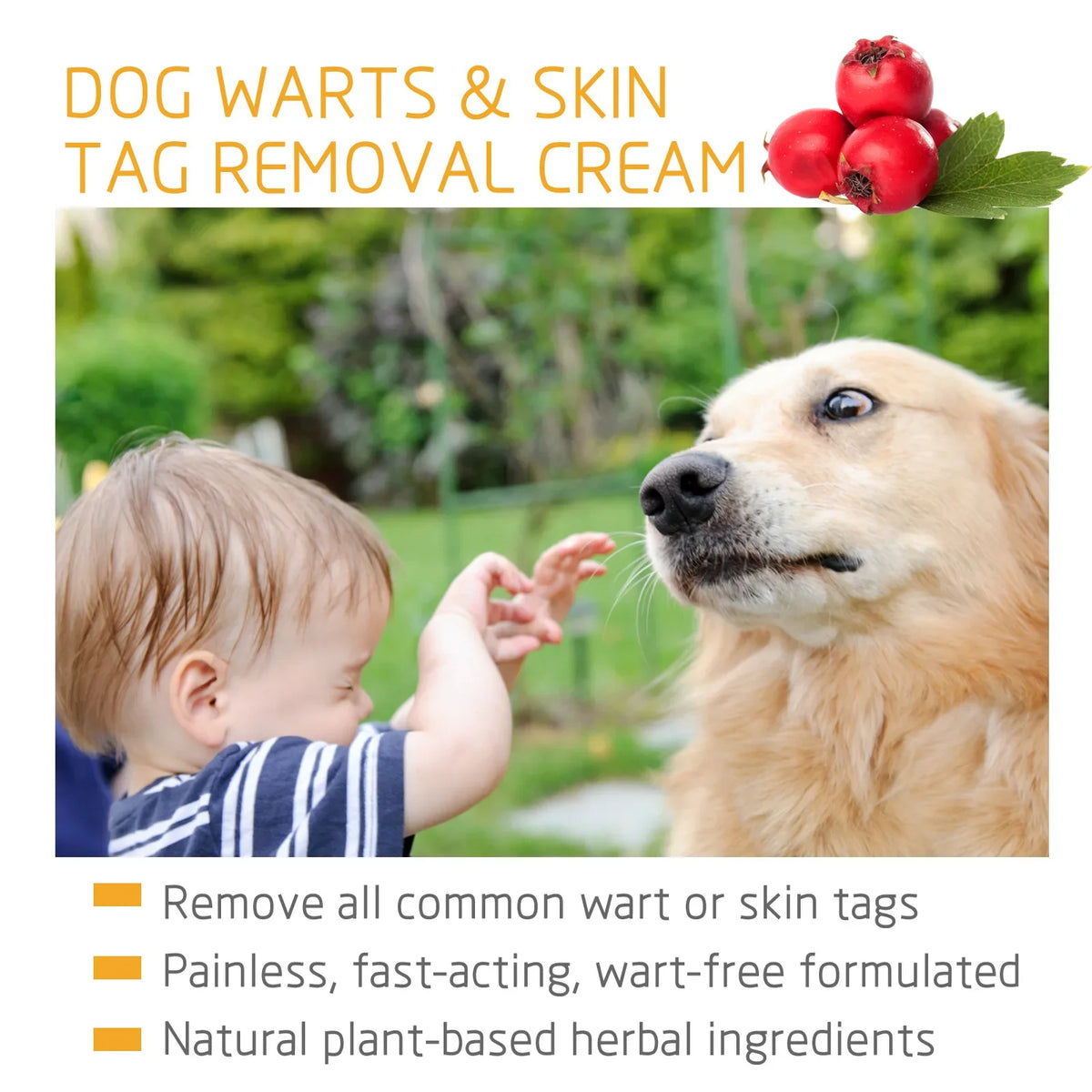 YEGBONG Pet Skin Cream – Wart & Corn Care for Dogs & Cats Pet Skin Care Cream Qst
