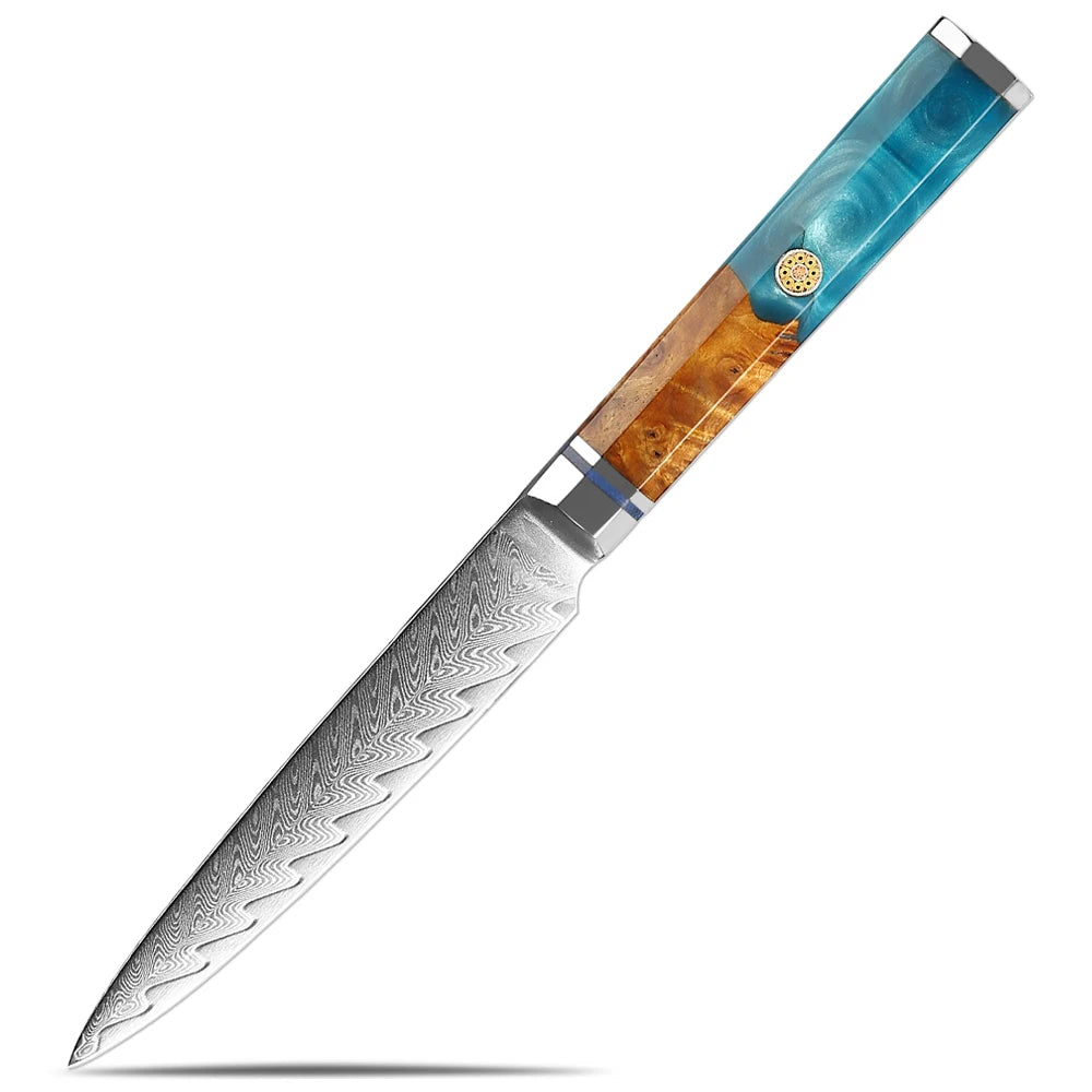 XITUO Damascus Steel Kitchen Knife Set – Blue Resin Handle Kitchen Knife Set Qst Utility Knife