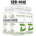 HMB 1000mg Muscle & Energy Supplement – Non-GMO, Gluten Free Sports Supplement Qst 120count-3bottle
