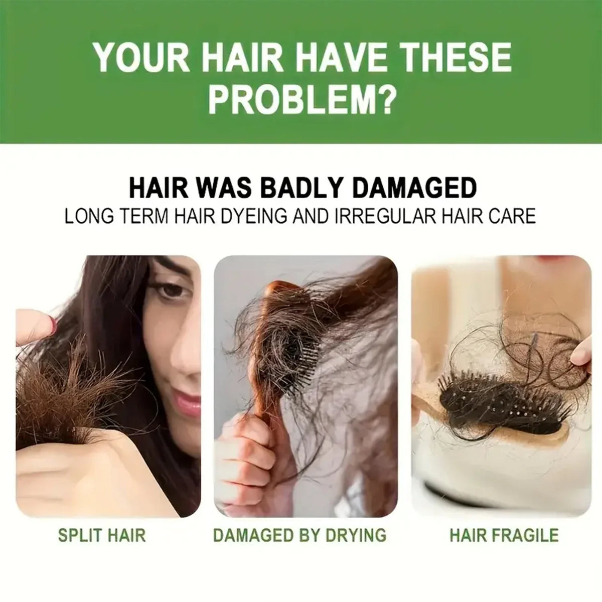 Rosemary & Ginger Root Amino Acid Shampoo | Soft Shiny Hair Botanical Hair Shampoo Qme