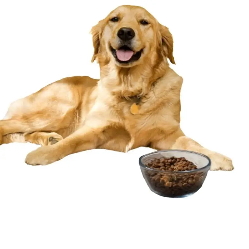 Quick-Dry Waterproof Pet Feeding Mat for Dogs & Cats 60x40cm Pet Feeding Mat Qme