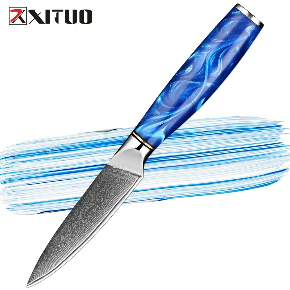 XITUO Damascus Steel 3.5" Paring Knife – Blue Resin Handle Damascus Paring Knife Qst Paring Knife 3.5 inch
