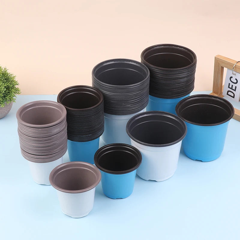 10-Pack Two-Color Plastic Seedling Pots for Succulents Seedling Nursery Pots Qst