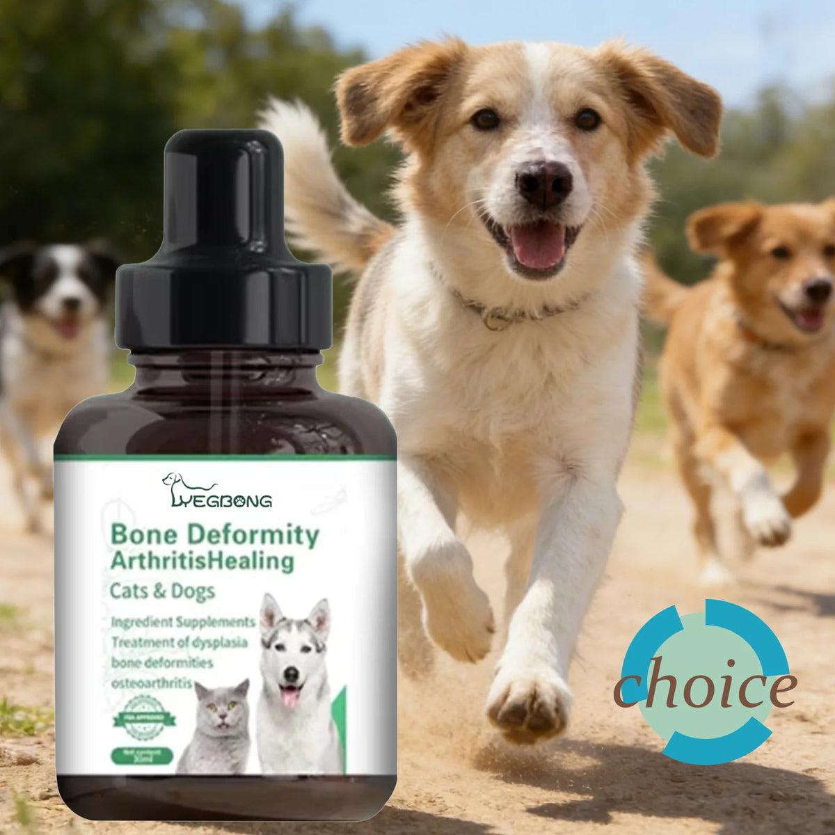 Yegbong Dog Joint Care Drops – Liquid Glucosamine for Pets Pet Joint Supplement Qst