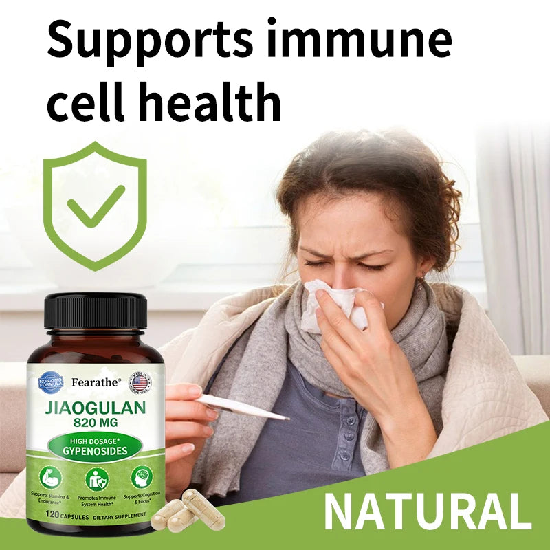 Jiaogulan Extract Supplement – Non-GMO, 120 Capsules Herbal Supplement Qst
