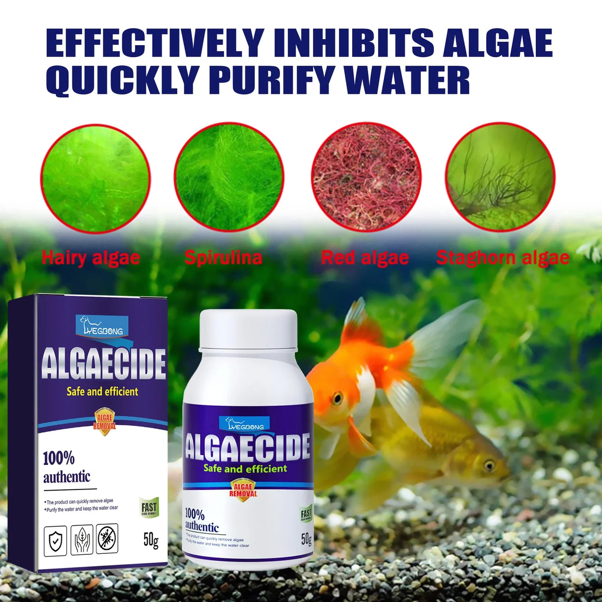YEGBONG Aquarium Algae Removal Agent – Purify Tank Water Aquarium Algae Treatment Qme