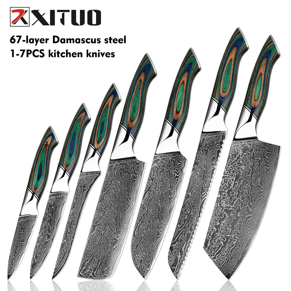 Xituo Damascus Steel Chef Knife Set – Green Wood Handle Chef Knife Set Qst 7PCS Knife
