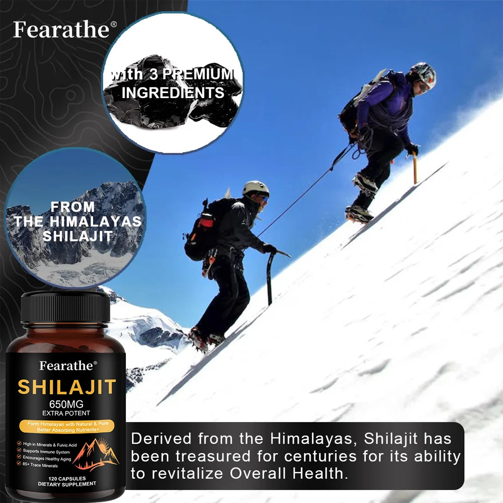 Himalayan Shilajit Capsules with Ginseng & Ashwagandha 60ct Herbal Supplement Qst