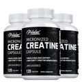 Creatine Monohydrate 5000mg Capsules – Pre-Workout by Pslalae Creatine Supplement Qst 120 Capsule-3bottles