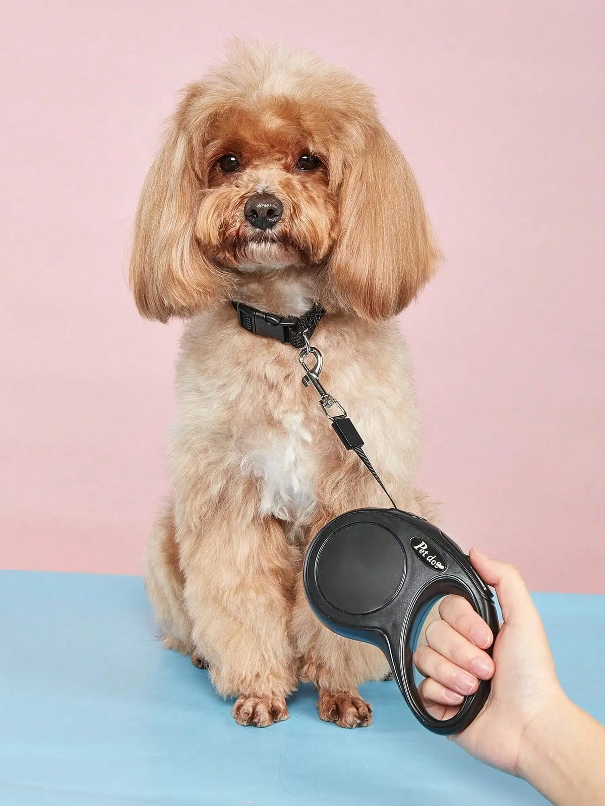 Retractable Dog Leash 3m 5m | Small & Medium Dogs | Qme Retractable Dog Leash Qme