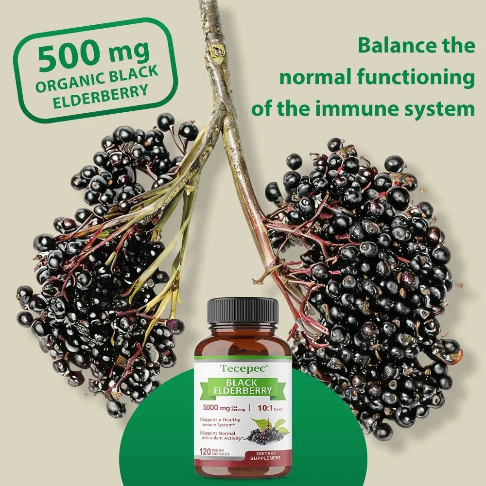 Black Elderberry 5000mg 10:1 Extract – 120 Vegan Capsules Non-GMO Herbal Supplement Qst