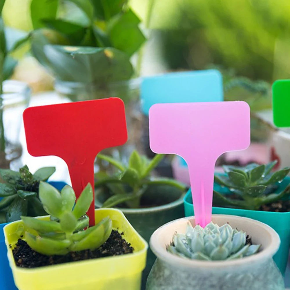 White Waterproof Garden Plant Labels PVC Sign Tags – 100pcs Garden Plant Labels Qme