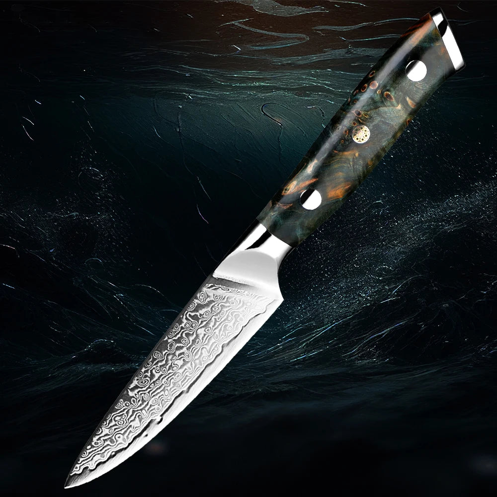 XITUO 3.5" Damascus Paring Knife – 67-Layer VG10 Steel Blade Damascus Paring Knife Qst Fruit Knife