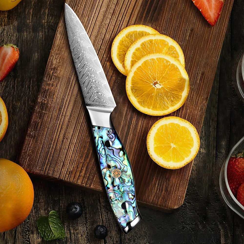 XITUO Damascus Paring Knife 3.5" Japanese VG10 Fruit Knife Damascus Paring Knife Qst