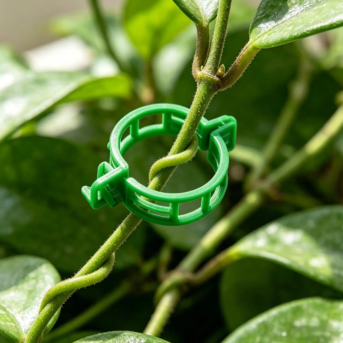 Tomato Plant Clips 100-Pack – Vine & Stem Support Clamps Plant Support Clips Qme