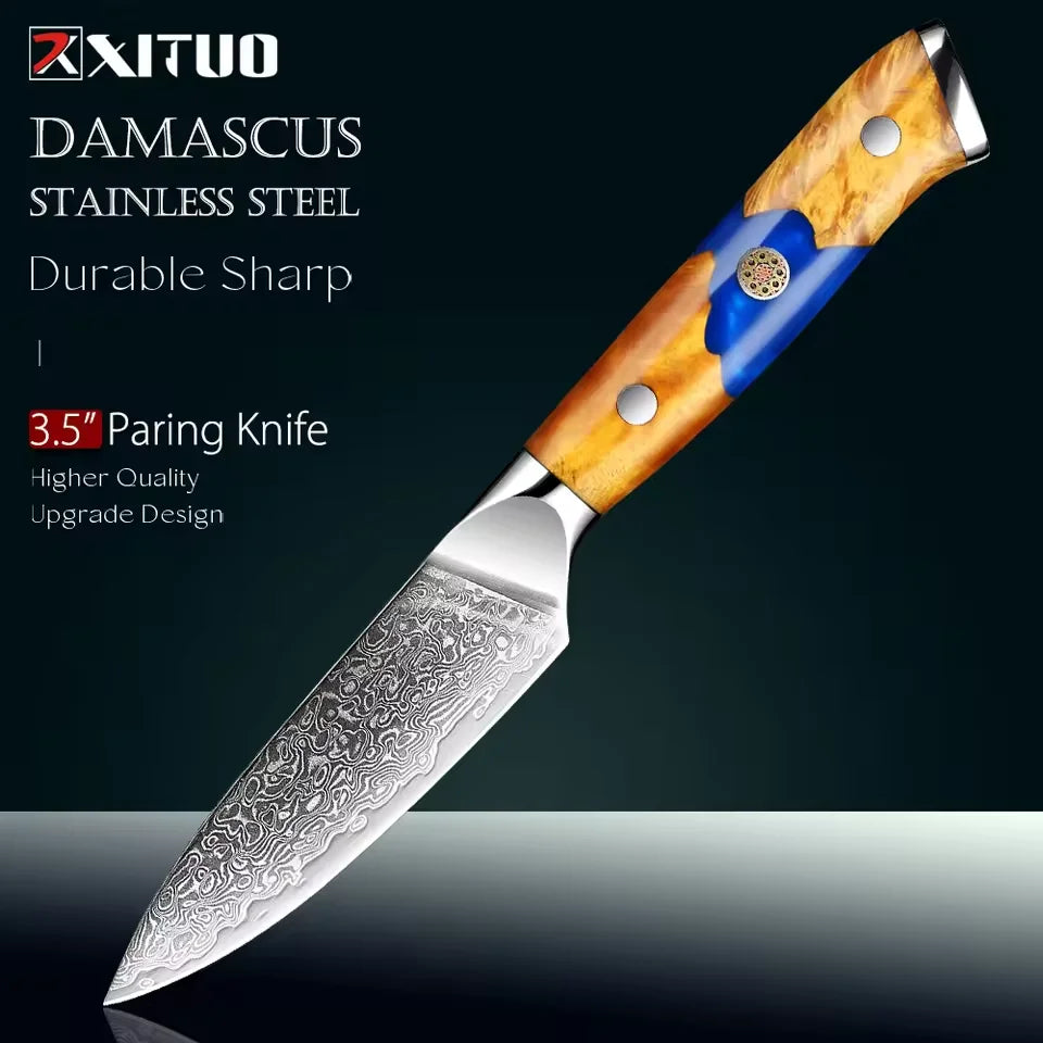 XITUO 3.5" Damascus Steel Paring Knife – Wood Resin Handle Damascus Paring Knife Qst