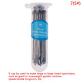 Stainless Steel Insect Pins for Specimen Mounting – School Lab Specimen Insect Pins Qme 75