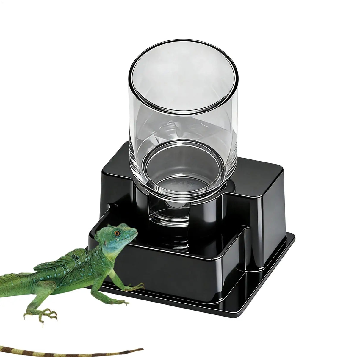 Reptile Water Fountain Dispenser – Bearded Dragon, Gecko & Tortoise Reptile Water Dispenser Qst