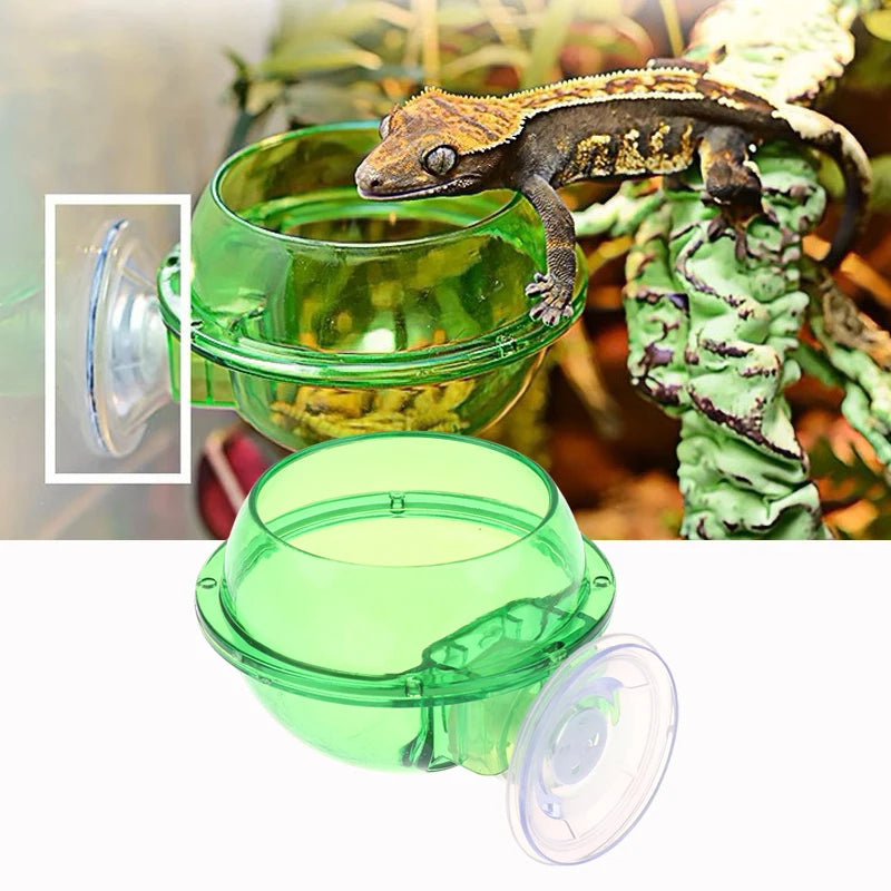 Reptile Anti-Escape Feeder Bowl – Suction Cup for Lizard & Gecko Reptile Feeder Bowl Qst