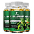 Ashwagandha KSM-66 5000mg + MACA Capsules | Focus & Energy Herbal Supplement Qst 3 bottles 120pcs