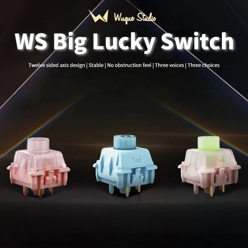 WS Biglucky 5-Pin Pre-Lubed Mechanical Keyboard Switches LED Mechanical Keyboard Switches Qme
