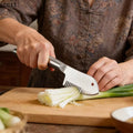 Stainless Steel Green Onion Cutter Shredder & Slicer Vegetable Slicer Qme Default Title