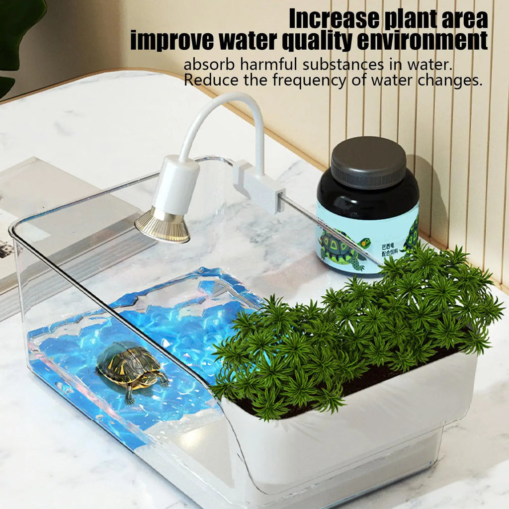 Small Transparent Turtle Tank Terrarium for Tortoise & Terrapin Reptile Terrarium Tank Qme