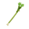 Catnip Molar Stick Cat Chew Toy – Squeaky Self-Play Cat Chew Toy Qme Default Title