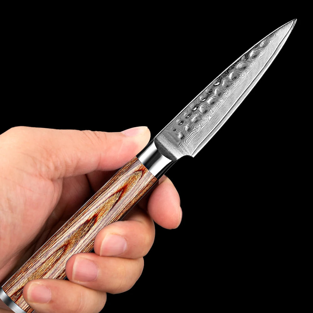 XITUO Damascus Paring Knife VG10 Steel & Wood Handle Damascus Paring Knife Qst