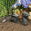 Dragon Resin Lawn Sculpture – Gothic Fantasy Garden Statue Garden Sculpture Qme Black