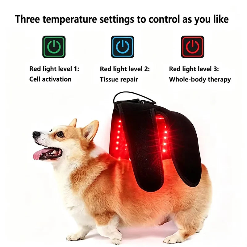 36 LED Wearable Red Light Therapy Device for Dogs & Cats Pet Light Therapy Device Qst