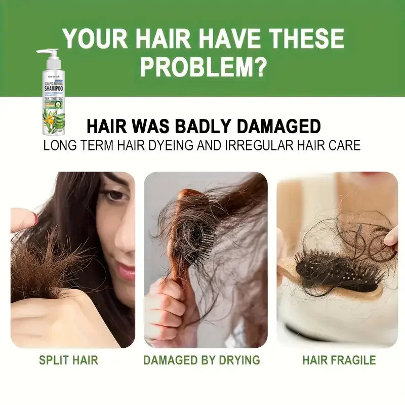 Sulfate-Free Clarifying Shampoo | Tea Tree & Arnica Clarifying Shampoo Qme