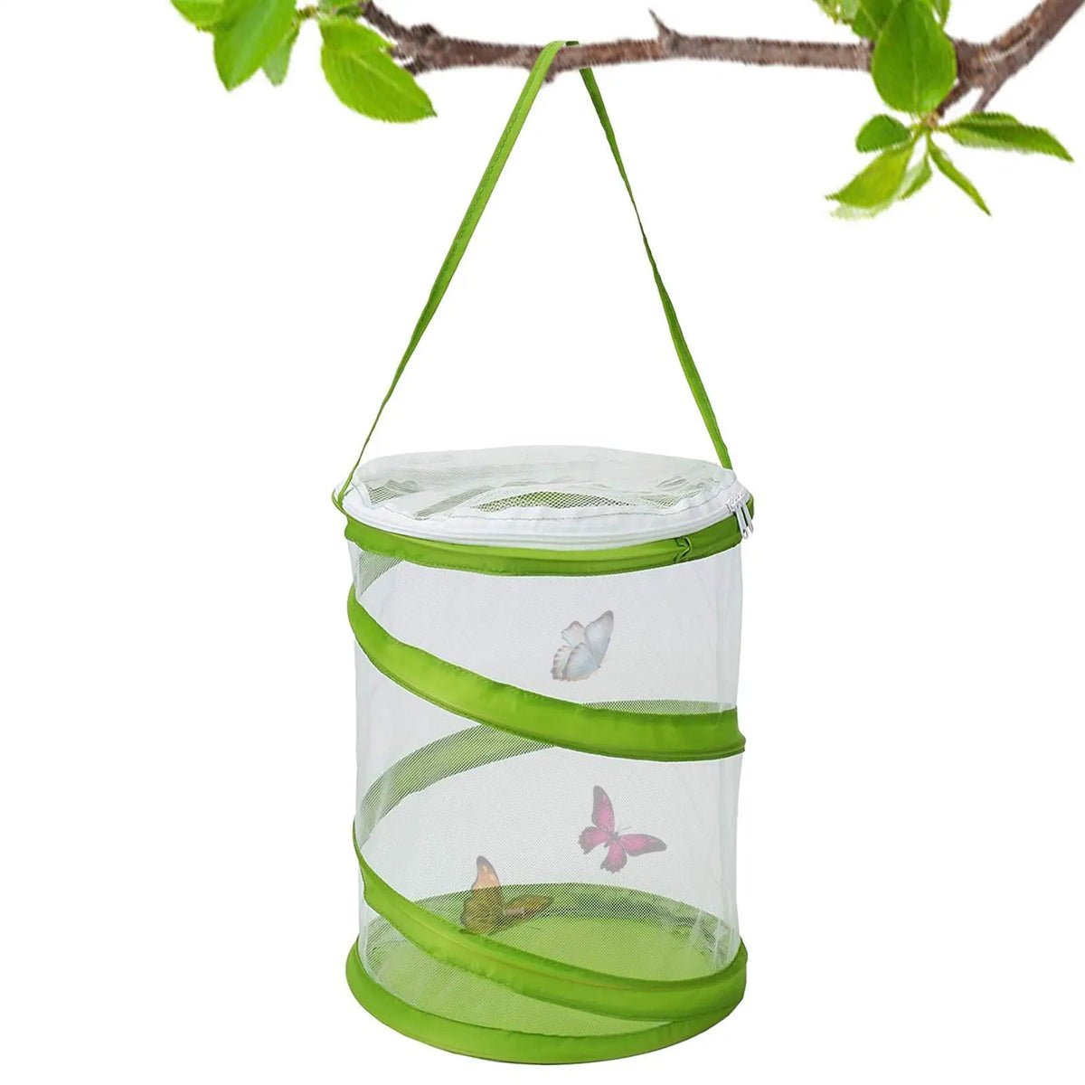 Mini Pop-Up Butterfly & Caterpillar Mesh Enclosure Habitat Butterfly Mesh Enclosure Qme