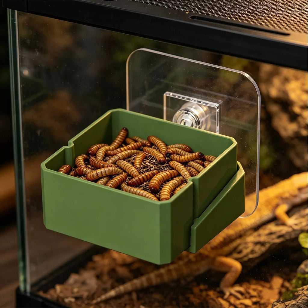 Wall Mount Reptile Food & Water Bowl – Gecko, Iguana Reptile Feeder Bowl Qme Clear CN