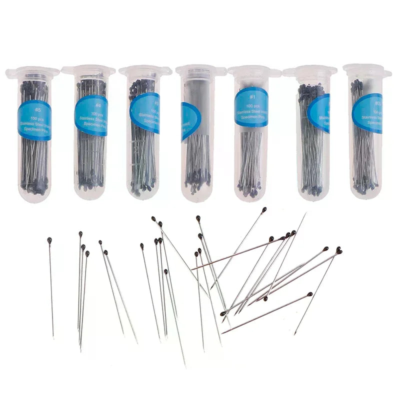 Stainless Steel Insect Pins for Specimen Mounting – School Lab Specimen Insect Pins Qme