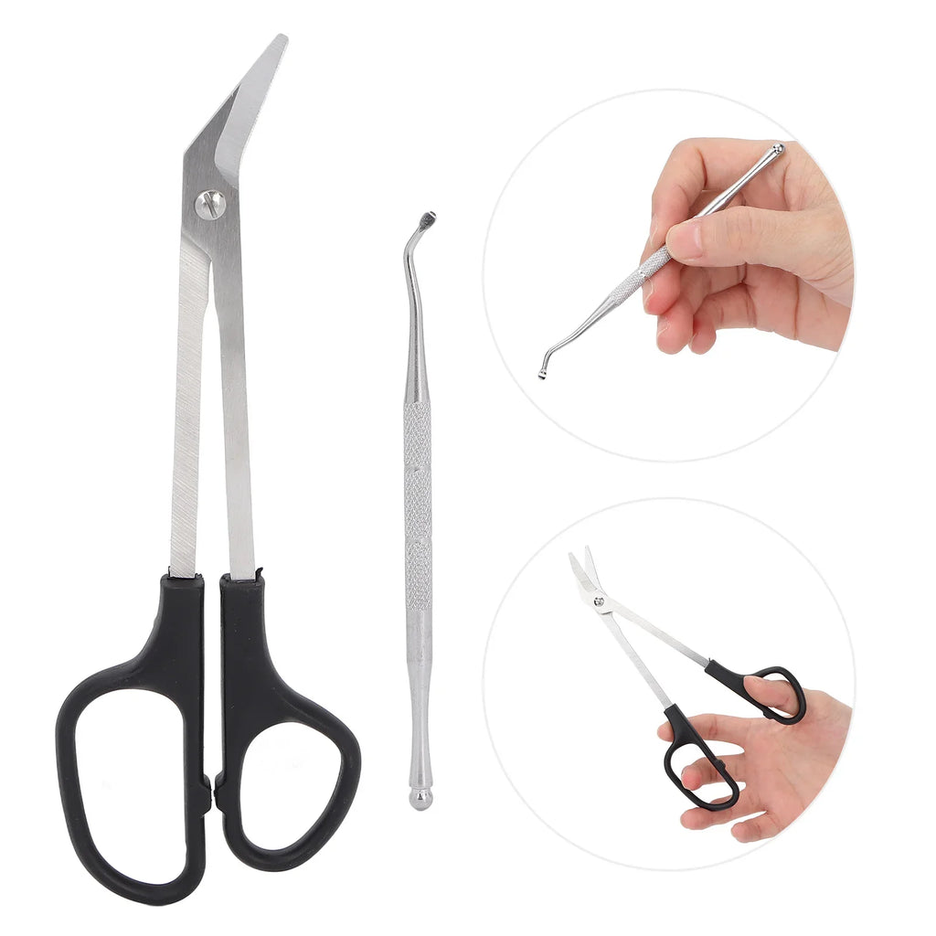 Long Handle Toenail Clippers – Ergonomic Stainless Steel Scissors Toenail Clippers Qme