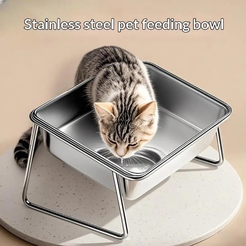 Stainless Steel Tilted Pet Bowl for Cats & Puppies – Large Pet Feeding Bowl Qme