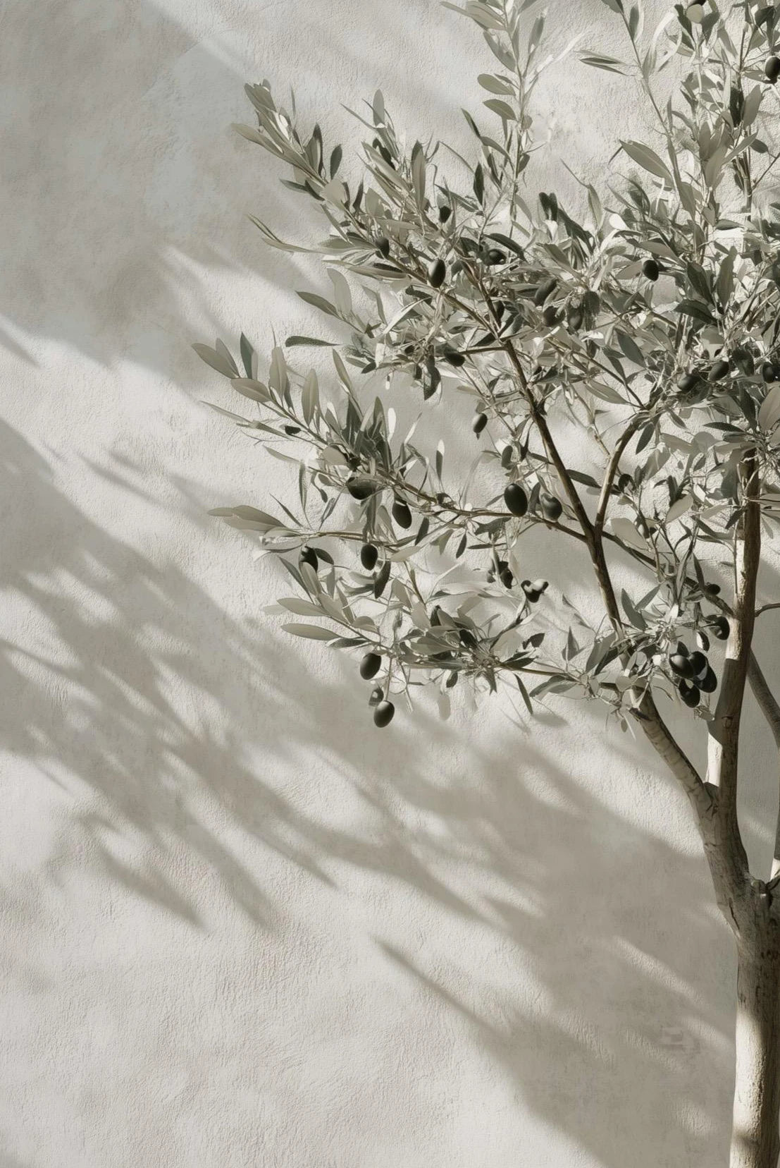 Mediterranean Landscape Canvas Wall Art – Lemon Olive Tree Poster Canvas Wall Art Qst