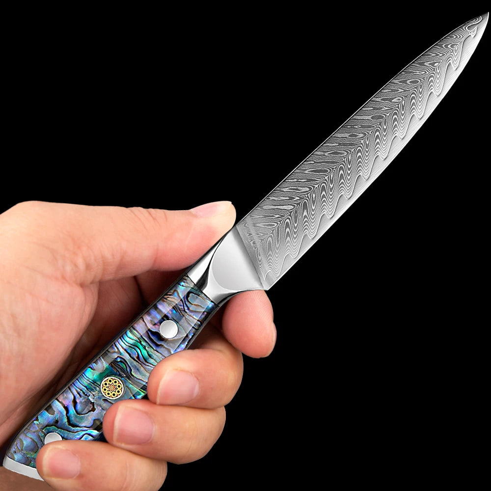 5" VG10 Damascus Paring Knife – Sharp Fruit & Veg Peeling Knife Damascus Paring Knife Qst