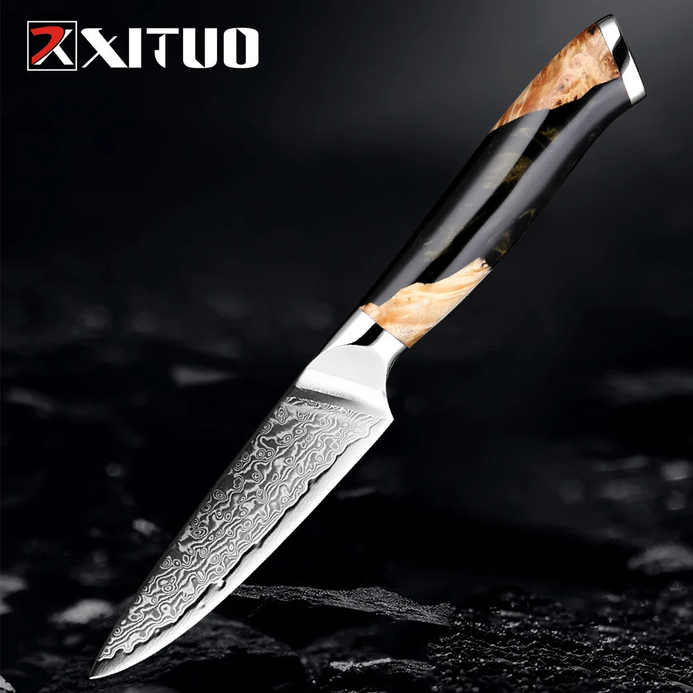 XITUO 67-Layer Damascus Steel Paring Knife 3.5" – VG10 Sharp Damascus Paring Knife Qst